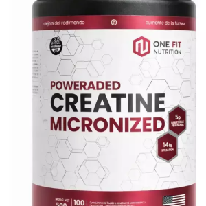 CREATINA ONE FIT 500 GRS