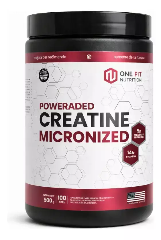 CREATINA ONE FIT 500 GRS